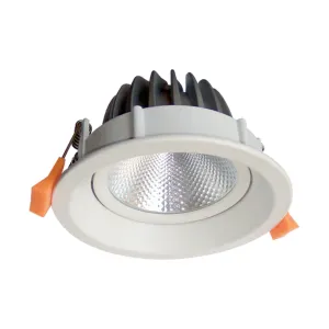 1806-15w Deep Recessed Tiltable Led Downlight