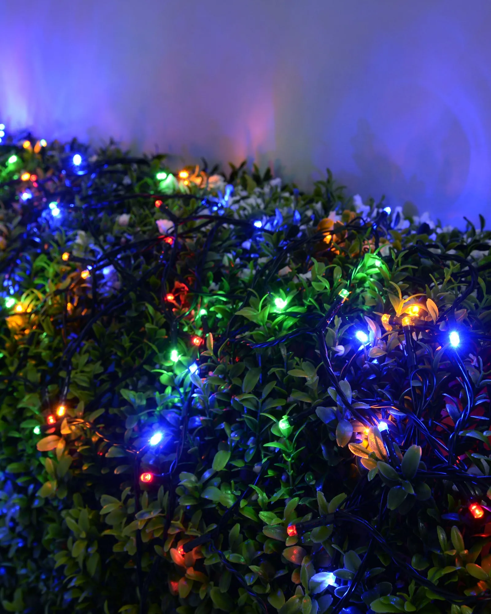 Battery Operated Multi-Function 500 LED Light String with Timer, Multi-Coloured