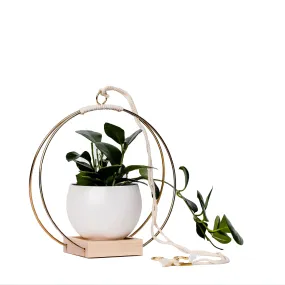 Braid & Wood Design Studio - Plant Hanger (Classic Shimmer) - Gold Hanging Planter: Medium