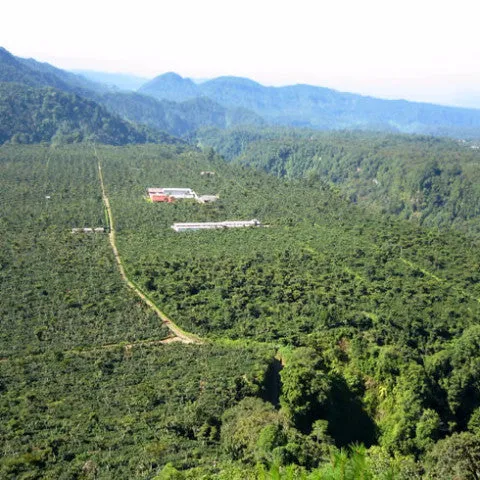 Finca Muxbal, Tapachula Chiapas