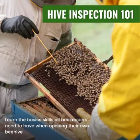 Hive Inspection 101