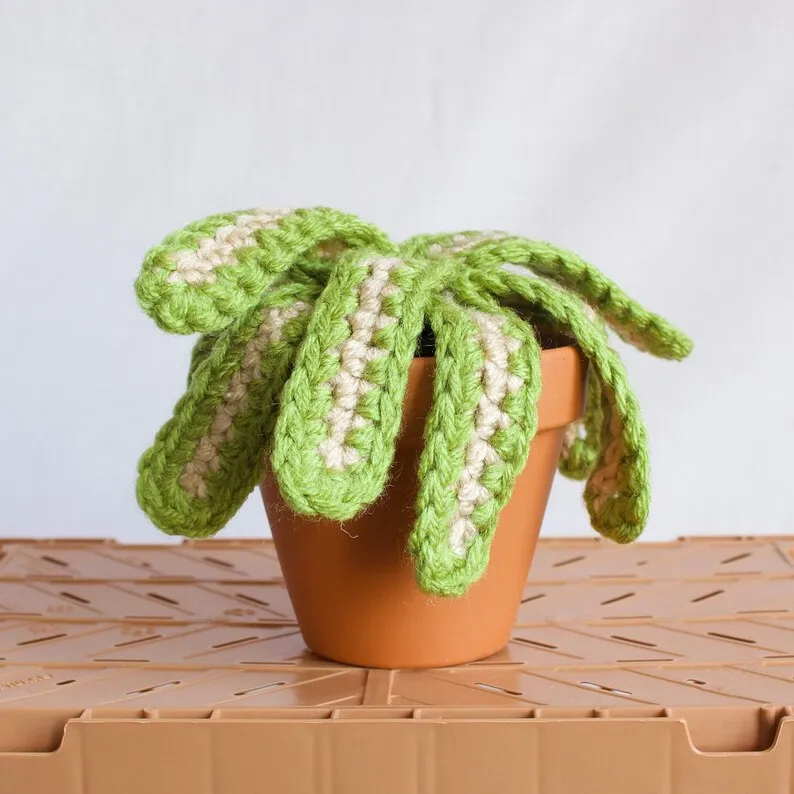 Hooked and Hung Crochet Spider Plant